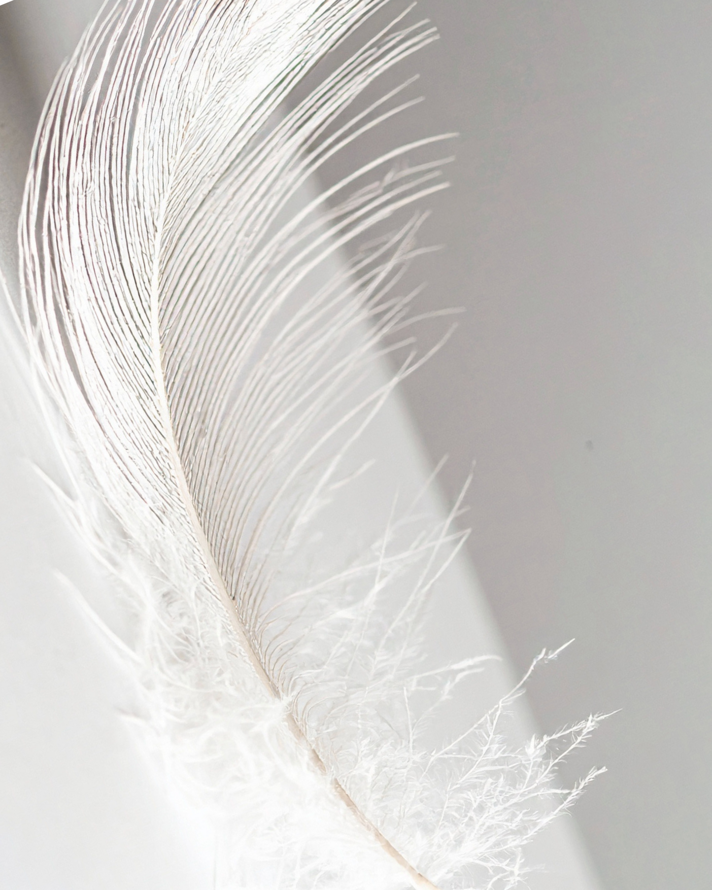 Sensitive Skin Body Cream