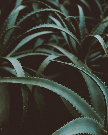 Mineral Sunscreen SPF30 for Face & Body, no tint